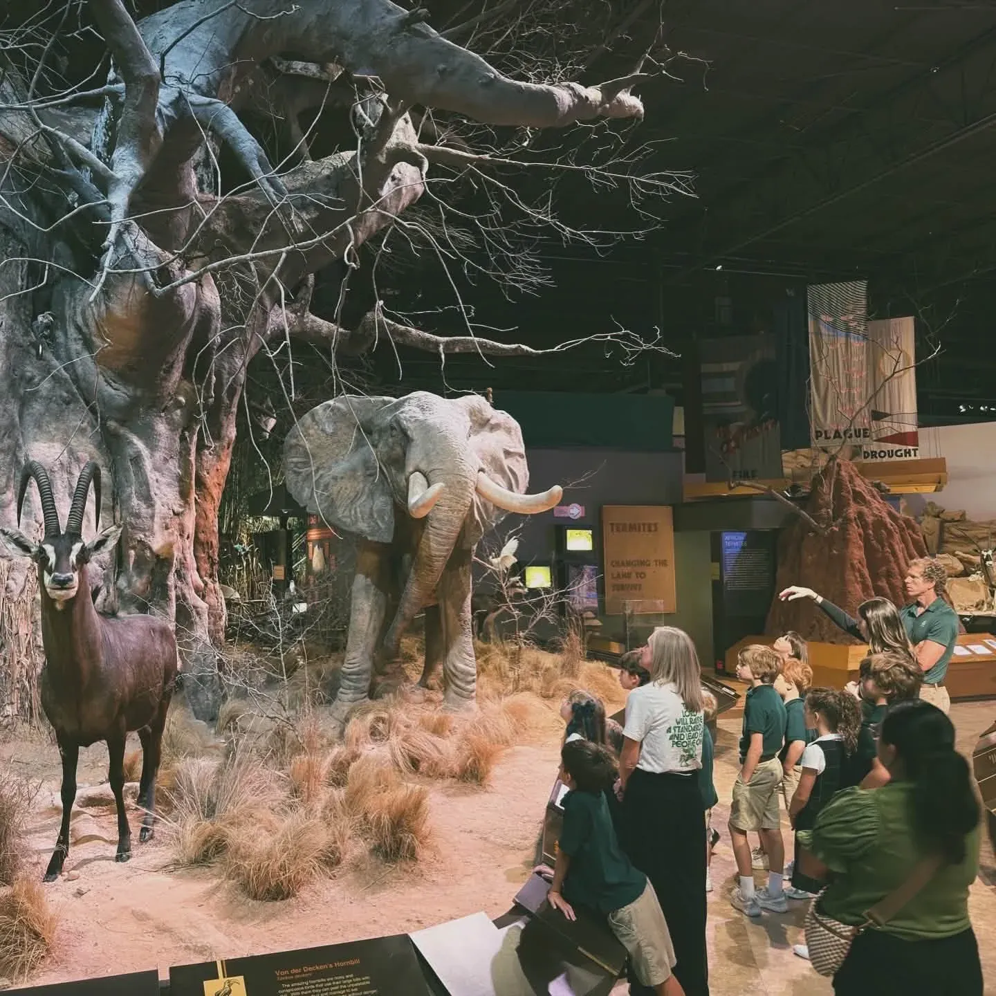 Students on a field trip at a natural history museum